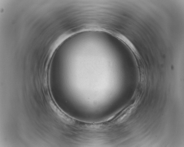 X0000066501004200603171143