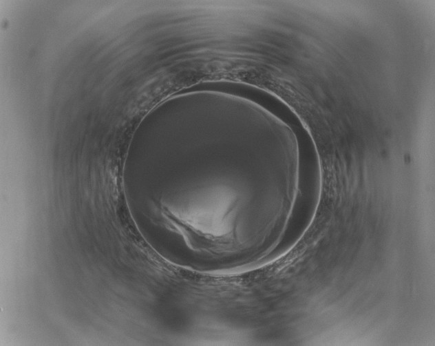 X0000066501013200603171143