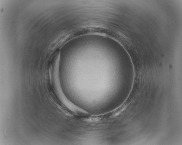 X0000066501014200603171143