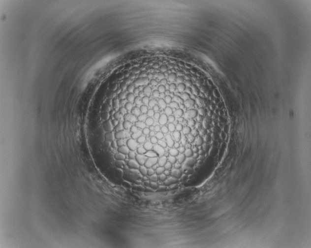 X0000066501016200603171143