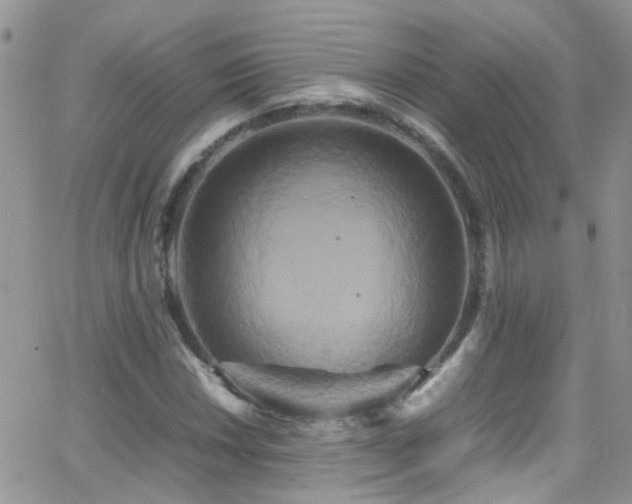 X0000066501018200603171143