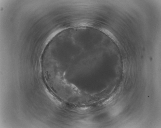 X0000066501031200603171143