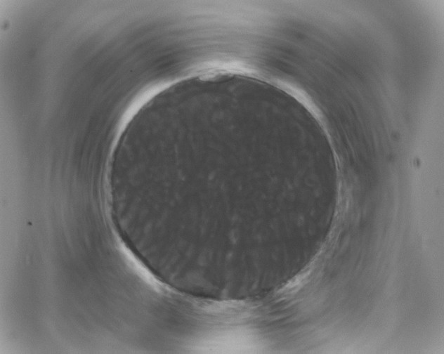 X0000066501056200603171143