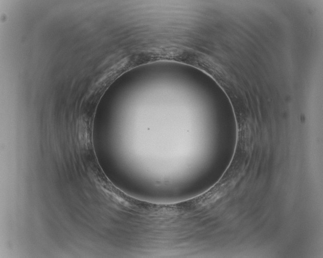 X0000066501058200603171142