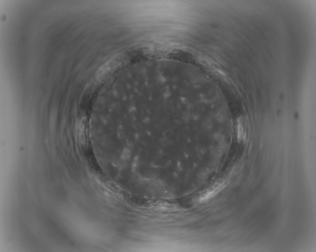 X0000066501059200603171142