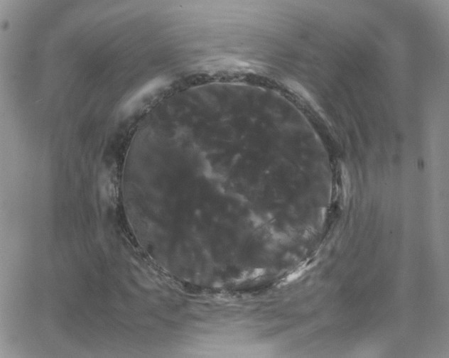 X0000066501063200603171142