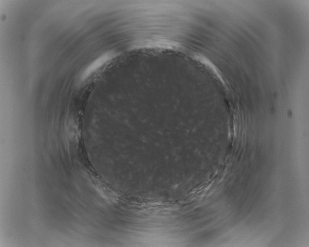 X0000066501064200603171142