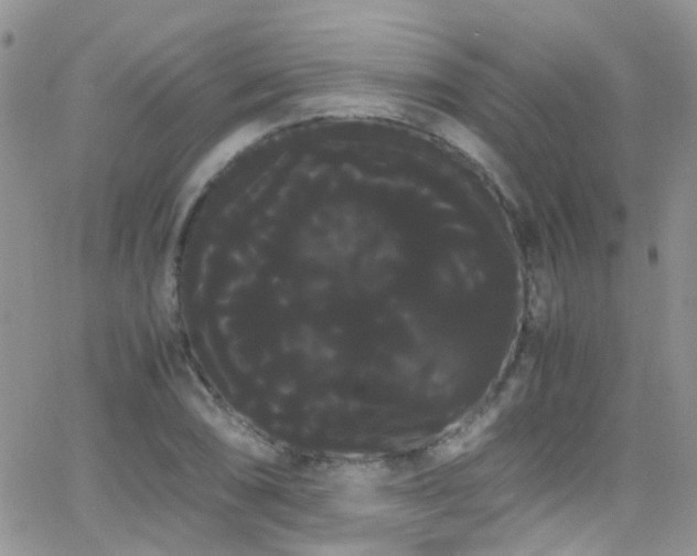X0000066501074200603171142