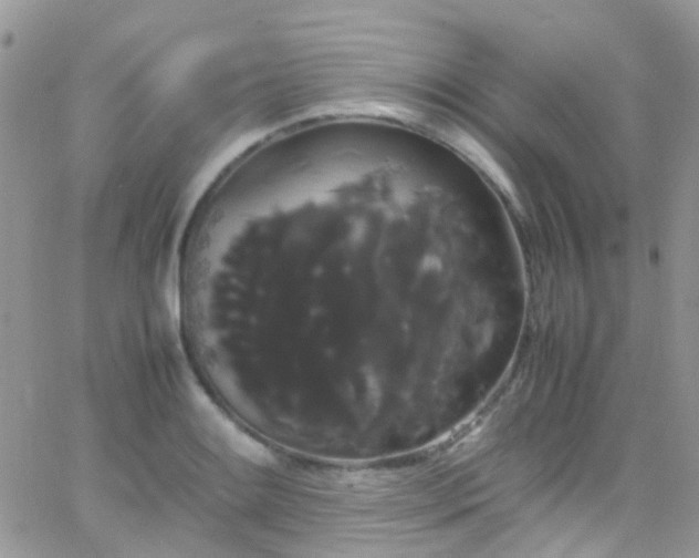 X0000066501084200603171142