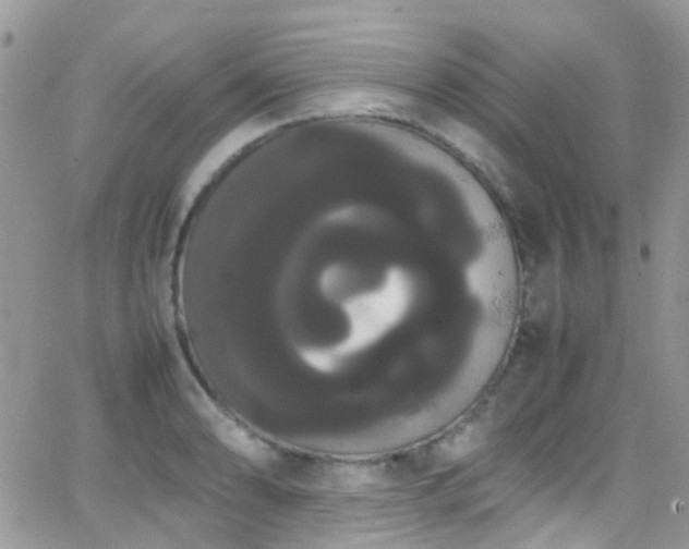 X0000066501086200603171142