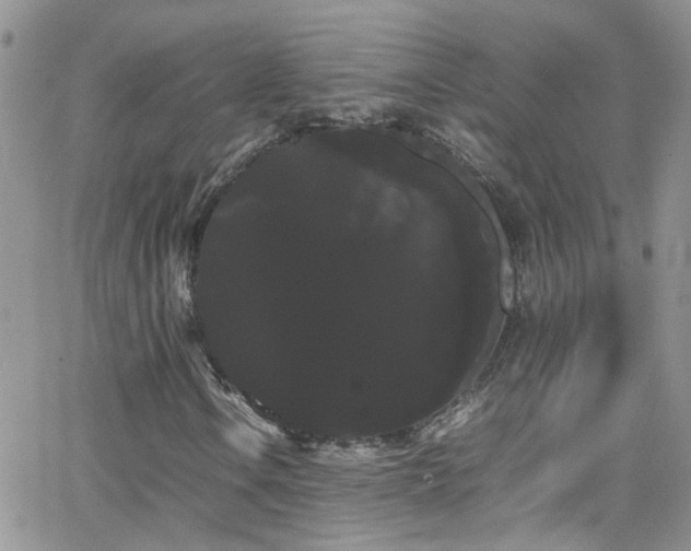 X0000066501106200603171141