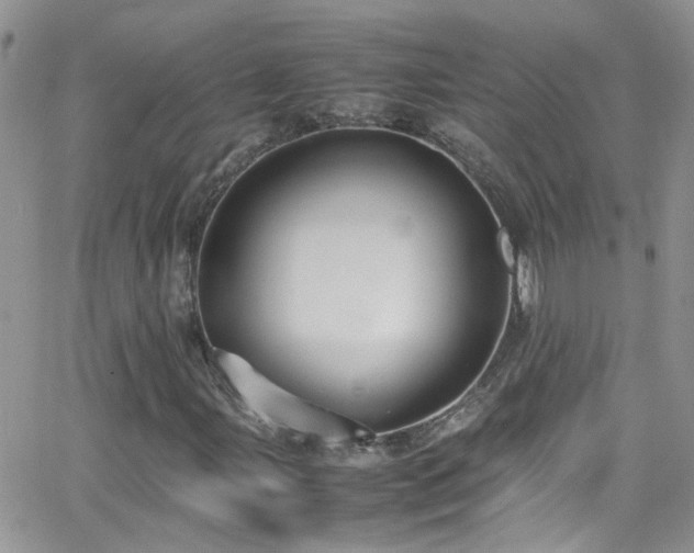 X0000066501107200603171141