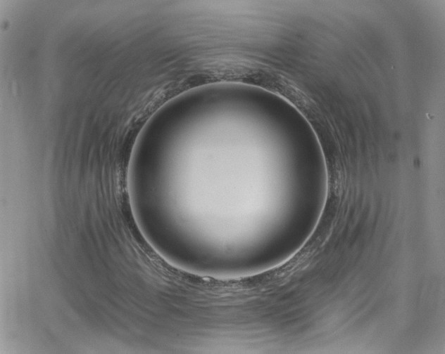 X0000066501108200603171141