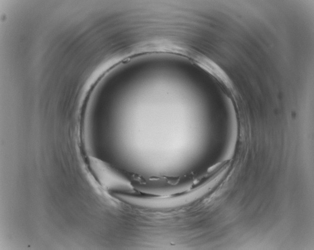 X0000066501144200603171142