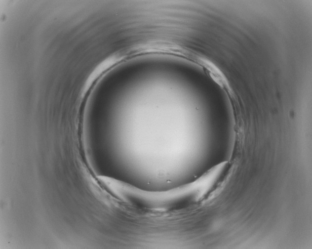 X0000066501146200603171142