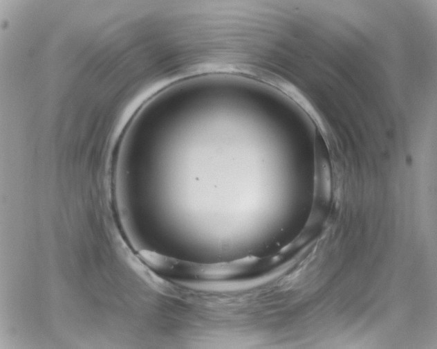 X0000066501148200603171142