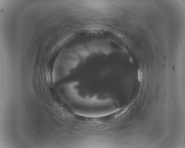 X0000066501155200603171141