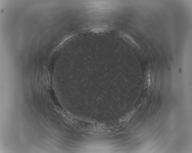 X0000066501158200603171141