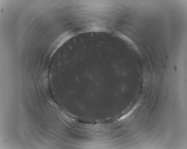X0000066501170200603171141