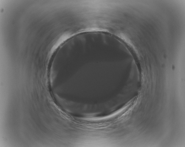 X0000066501173200603171141
