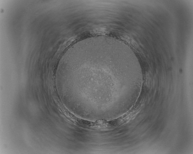 X0000066501201200603171139
