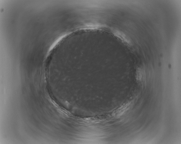 X0000066501208200603171139
