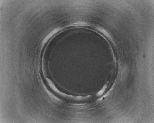 X0000066501229200603171140