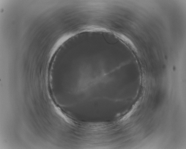 X0000066501231200603171140