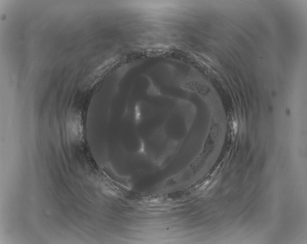 X0000066501252200603171139