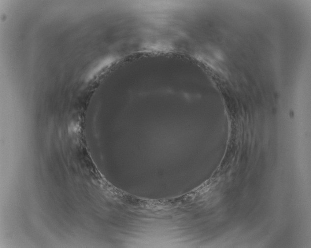 X0000066501254200603171139