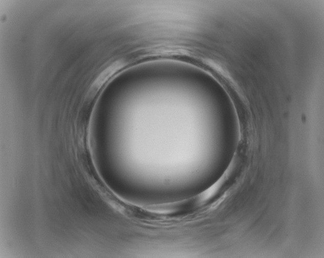 X0000066501273200603171139