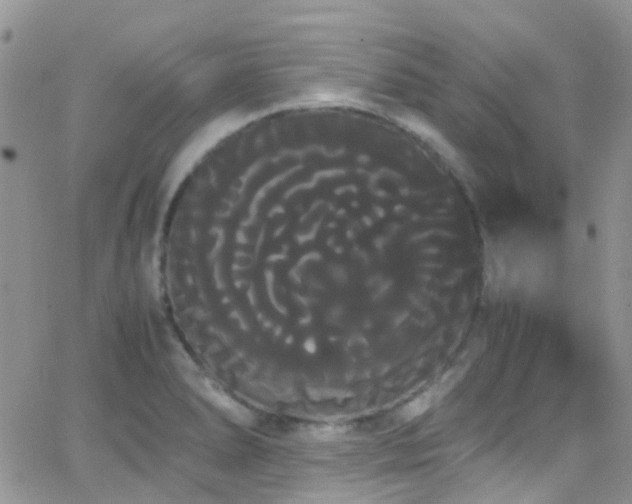 X0000066501278200603171139