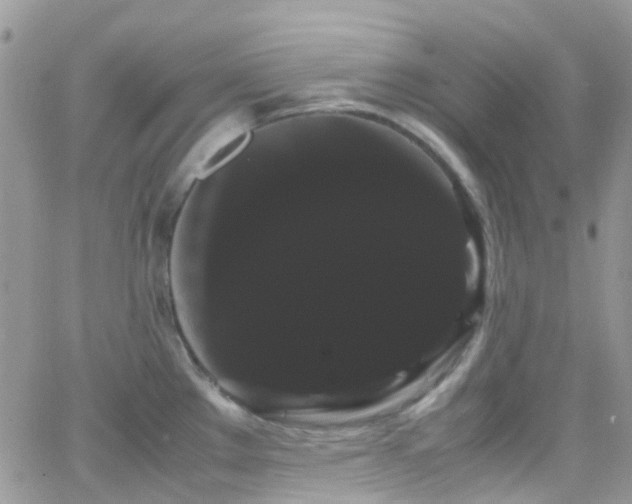 X0000066501289200603171139