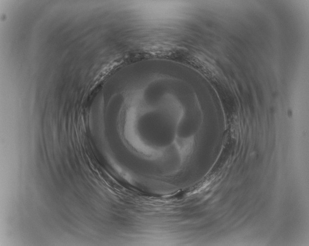 X0000066501298200603171138