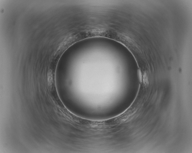 X0000066501299200603171138