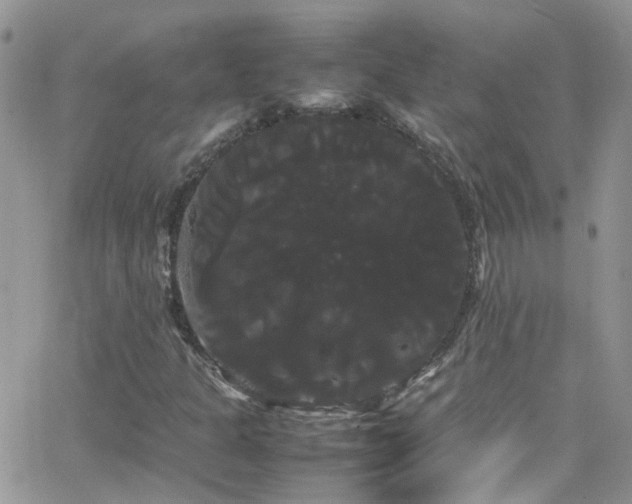 X0000066501301200603171138