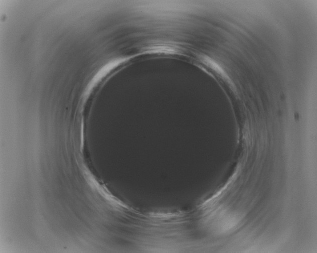 X0000066501323200603171138