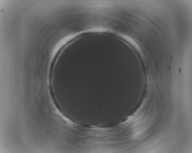X0000066501327200603171138