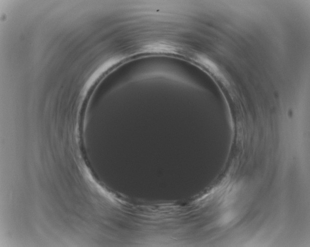 X0000066501331200603171138