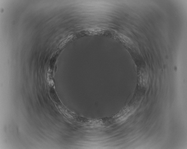 X0000066501346200603171138