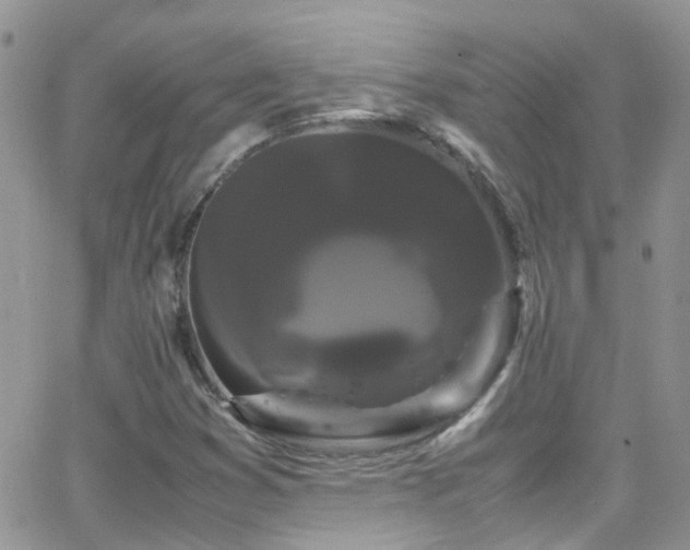 X0000066501353200603171138