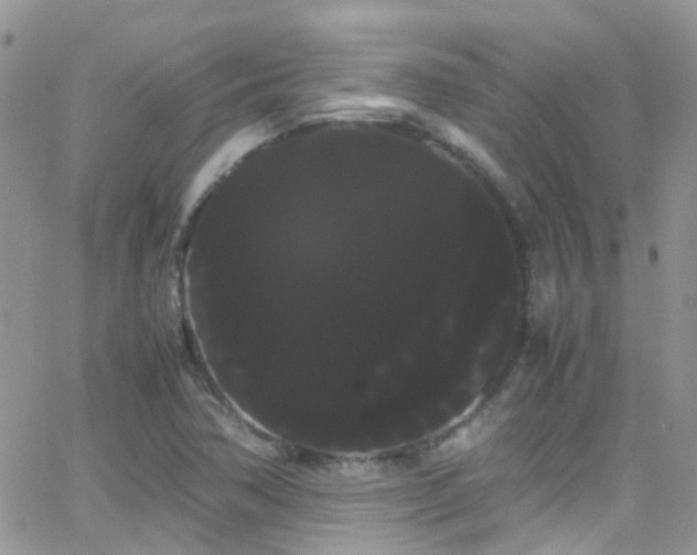 X0000066501362200603171137