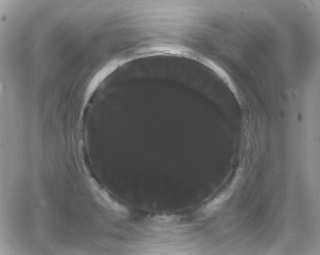 X0000066501373200603171137