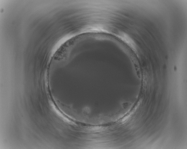 X0000066501382200603171137