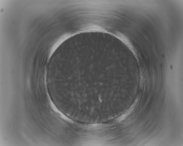 X0000066501390200603171137
