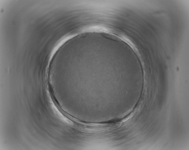 X0000066501392200603171137
