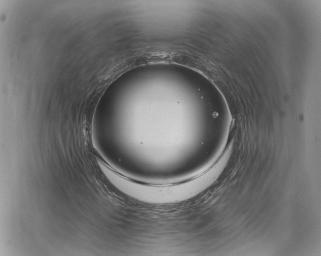 X0000066501394200603171136