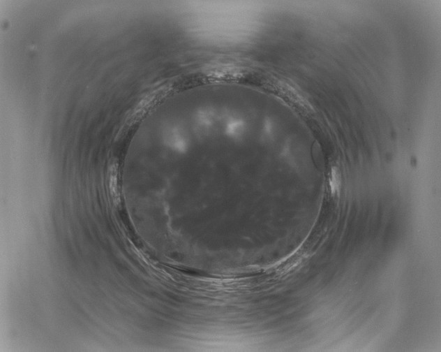 X0000066501396200603171136