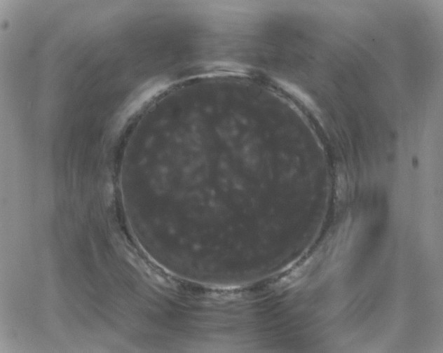 X0000066501407200603171136