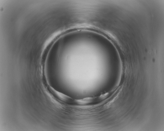 X0000066501414200603171137